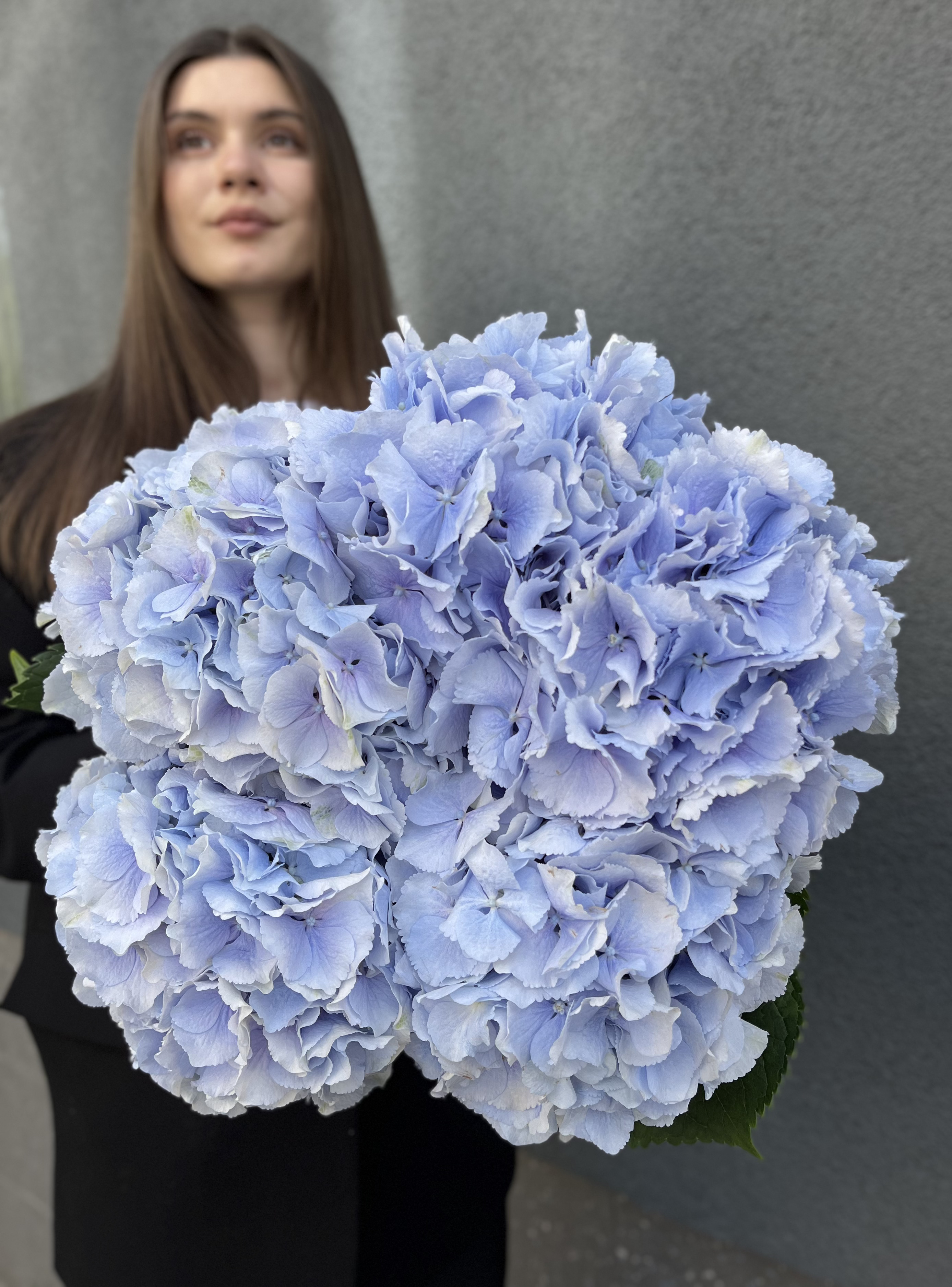 Монобукет з гортензії Sarena Blue