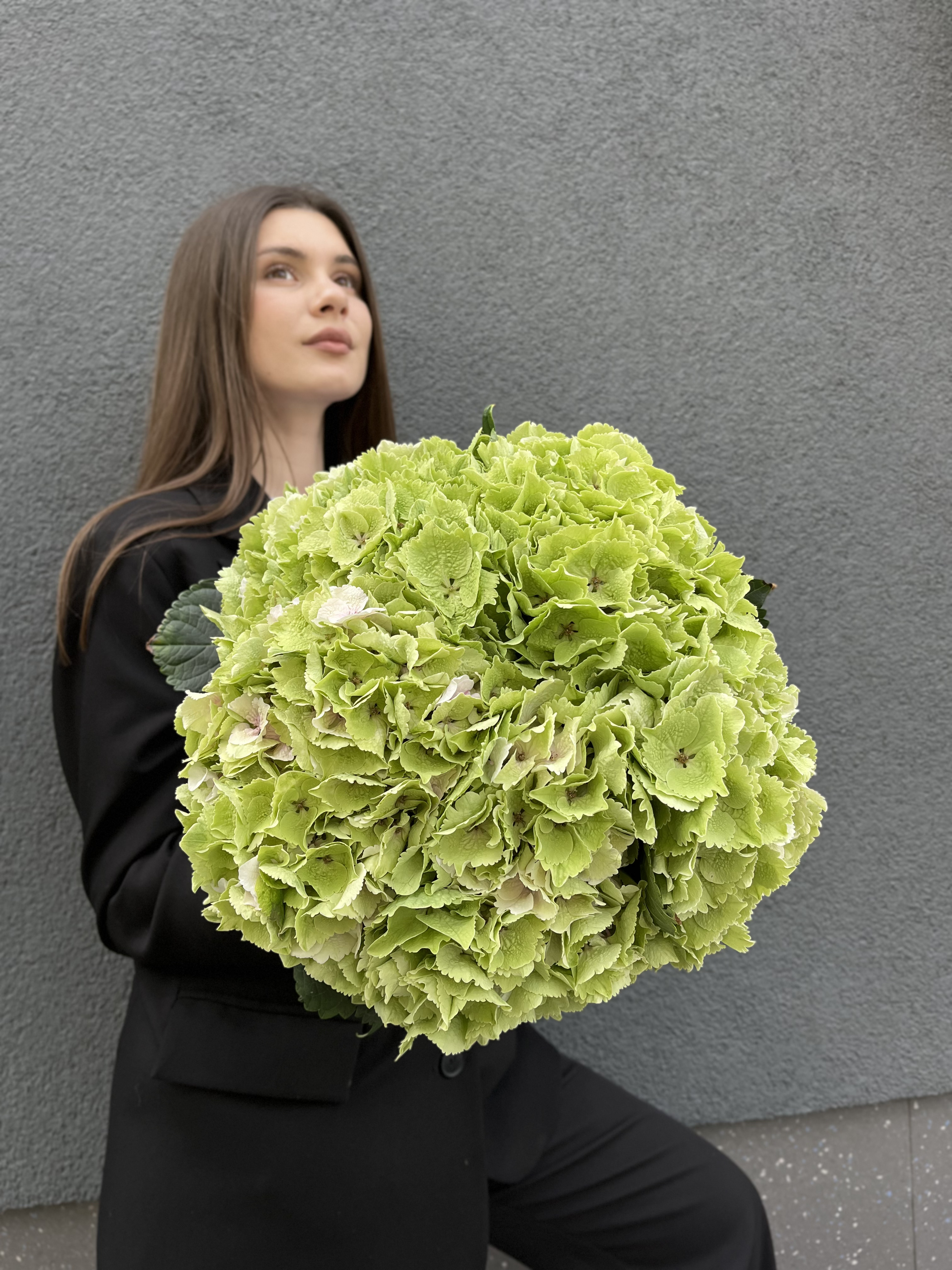 Монобукет з гортензії Emarald Green 