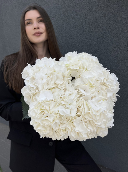 Монобукет з гортензії Verena White – білосніжна розкіш