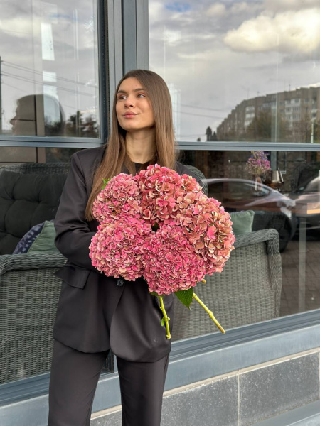 Букет з гортензії Ruby та гортензії Royal Palace