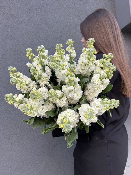 Монобукет з матіоли Iron White