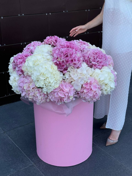 Композиція з гортензій 