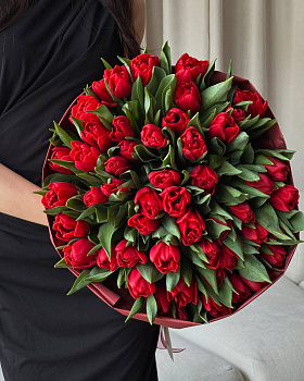 Букет з червоних півонієподібних тюльпанів у бордовому пакуванні