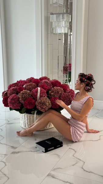 Композиція з гортензії Ruby та гортензії Royal Palace