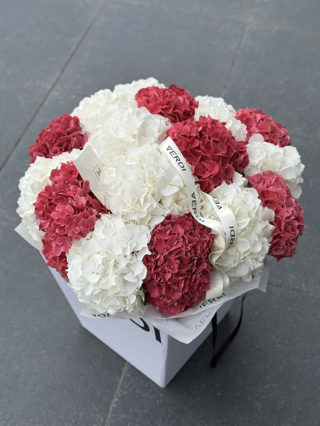 Букет з гортензії Rodeo Red та Verena White