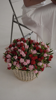 Корзина з піоноподібних тюльпанів у ніжно-рожевих та червоних відтінках