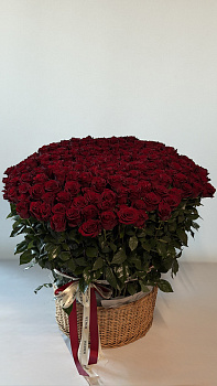 Корзина з великої кількості червоних троянд та стрічками